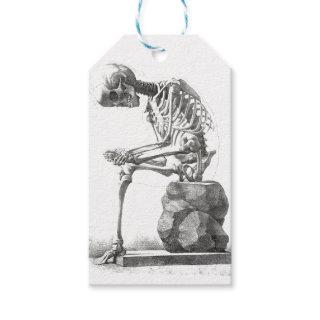 Skeleton Sitting Anatomy Illustraiton Gift Tags