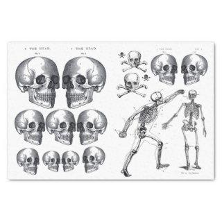 Skeleton Skulls Skull n Bones Decoupage Collage Ti Tissue Paper