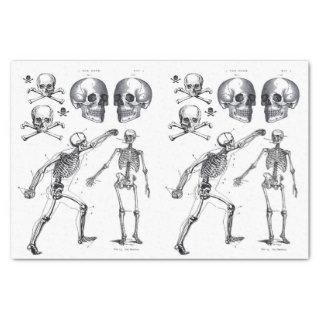 Skeleton Skulls Skull n Bones Decoupage Collage Ti Tissue Paper