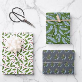 Sketched Winter Branches Holly and Spruce Pattern  Sheets