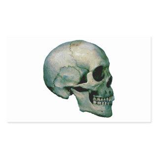 Skull From Profile Rectangular Sticker