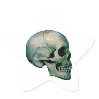 Skull From Profile Star Sticker