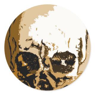 Skull Skulls Classic Round Sticker
