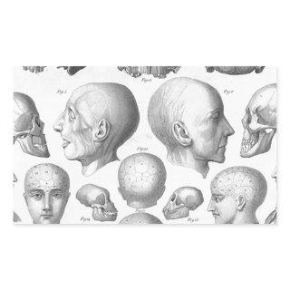 Skull Types Rectangular Sticker