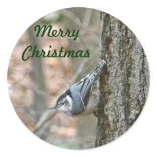 Slate Gray Nuthatch Christmas Songbird Christmas Classic Round Sticker