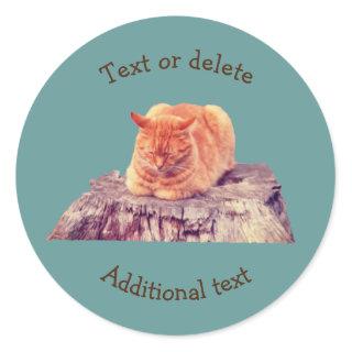 Sleeping Orange Tabby Cat Animal Personalized Classic Round Sticker
