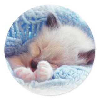 Sleeping Siamese Kitten Paws Classic Round Sticker