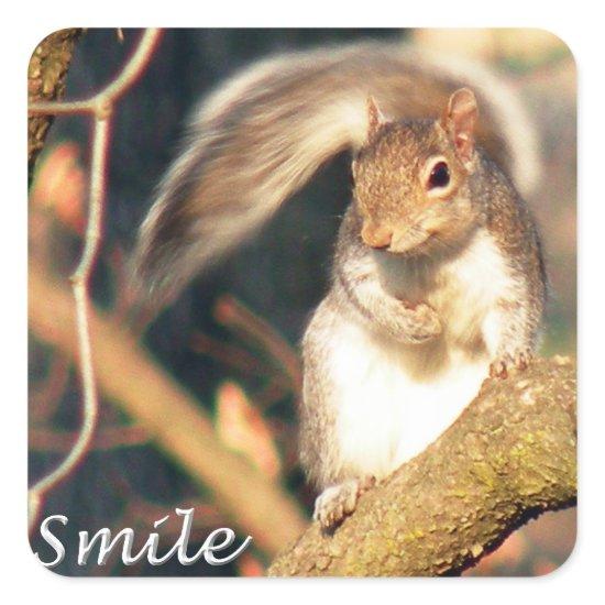 Smile Mr. Squirrel Sticker