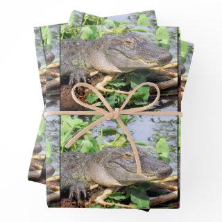 Smiling Gator  Sheets