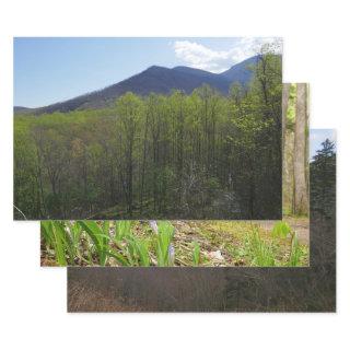 Smoky Mountains in Spring Landscape  Sheets
