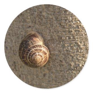 Snail Classic Round Sticker