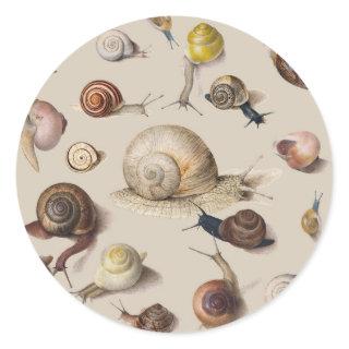 Snail Garden Pet Gastropod Slug Botanical Snails Classic Round Sticker