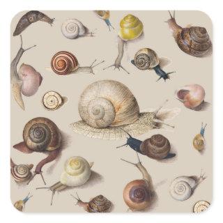 Snail Garden Pet Gastropod Slug Botanical Snails Square Sticker