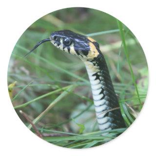 Snake's Head Classic Round Sticker