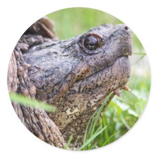 Snapping Turtle Classic Round Sticker