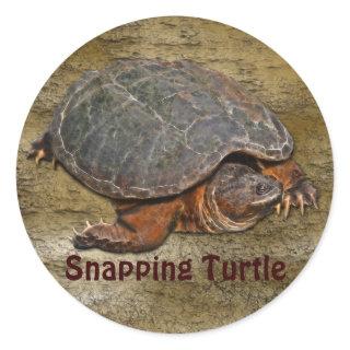 Snapping Turtle Terrapin-lover Gift Classic Round Sticker