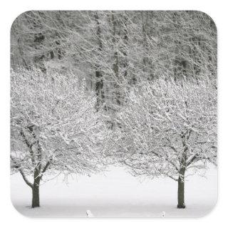 Snow covered landscape square sticker