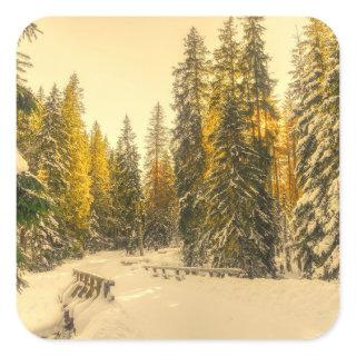 Snow Covered Pine Trees Forest Nature Photo Square Sticker