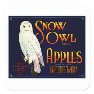 Snow Owl Apples Square Sticker