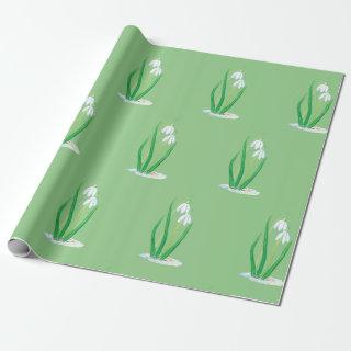 Snowdrops (Galanthus nivalis)
