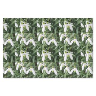Snowdrops Tissue Paper