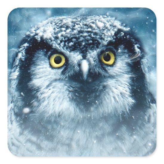Snowy Owl Big Eyes Square Sticker