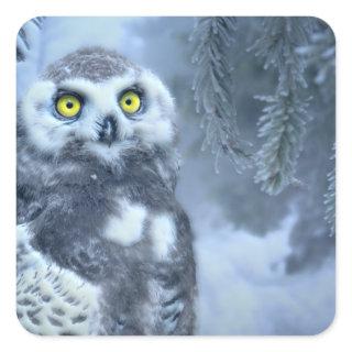 Snowy Owl in Winter Square Sticker