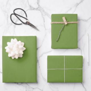 Solid pepper grass green rustic  sheets