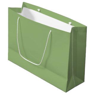 Solid plain green large gift bag