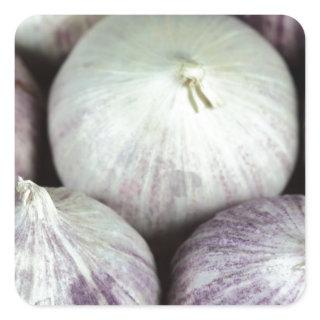 Solo Garlic Square Sticker