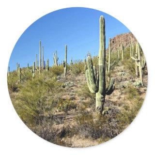 Sonoran Desert scene 03 Classic Round Sticker