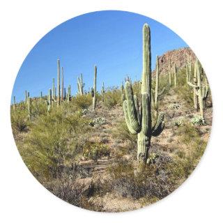 Sonoran Desert scene 03 Classic Round Sticker