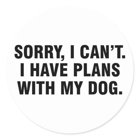 Sorry I can’t I have plans with my dog Classic Round Sticker