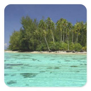 South Pacific, French Polynesia, Moorea 2 Square Sticker