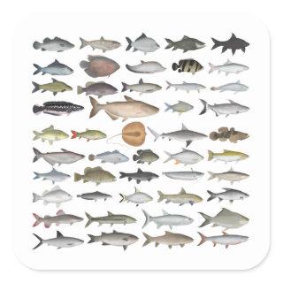 Southeast Asia Freshwater Fish Group Square Sticker