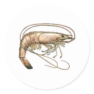 Southern Shrimp Art Classic Round Sticker