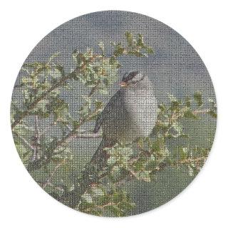 Sparrow Branch Wild Bird Photo Mosaic Birdwatcher Classic Round Sticker