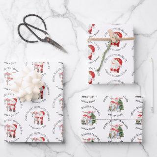 Special Delivery Personalized Santa Stamps  Sheets