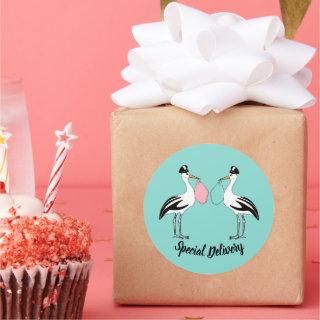Special Delivery Stork Baby Reveal Sprinkle Party Classic Round Sticker