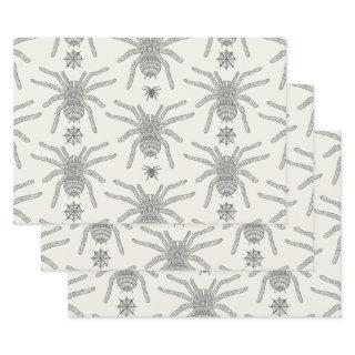 Spider  Sheets