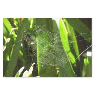Spiderweb in Tropical Leaves Nature Tissue Paper