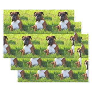 Spike the Boxer - Dog  Sheets