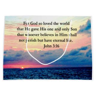 SPIRITUAL JOHN 3:16 PHOTO LARGE GIFT BAG