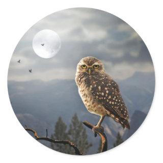 Spooky Owl Moon Graphic Classic Round Sticker