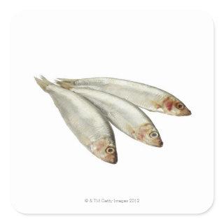 Sprats Square Sticker