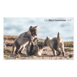 Spring - Arctic Fox Rectangular Sticker