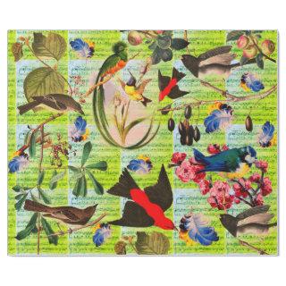 SPRING BIRDS,FEATHERS,FRUITS Music Notes Green