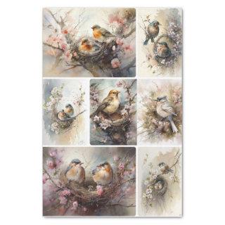 Spring Birds  Tissue Paper