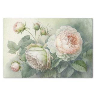 Spring Cabbage Roses Tissue Paper