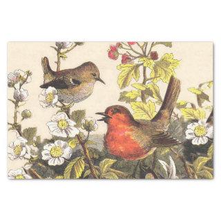 Spring Robin Birds Red Birding Tissue Paper